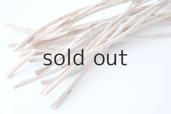 画像4: 棒流木・極細セット (4)