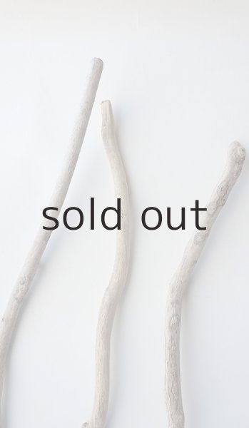 画像4: 小枝流木セット (4)