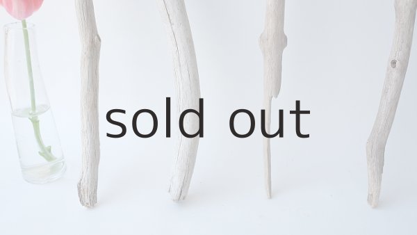 画像2: 小枝流木セット (2)