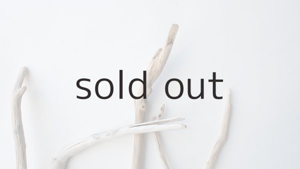 画像4: 小枝流木セット (4)