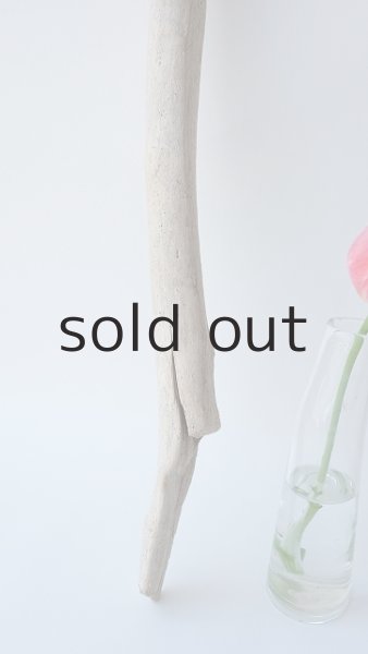 画像2: 小枝流木セット (2)