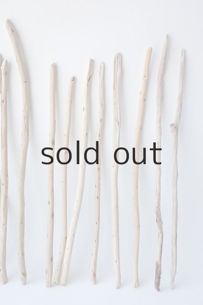 画像4: 棒流木セット (4)