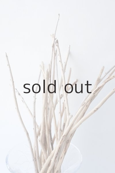 画像3: 棒流木・極細セット (3)