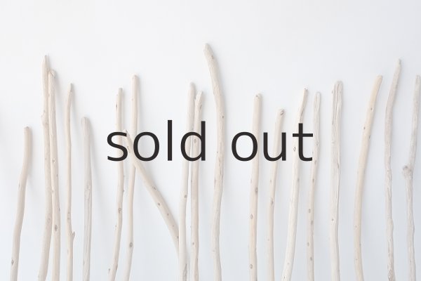 画像6: 棒流木セット (6)