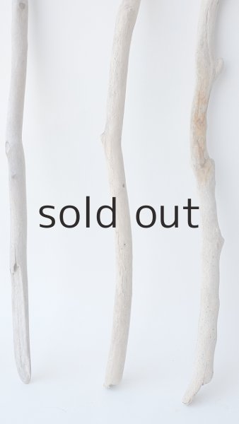 画像2: 小枝流木セット (2)