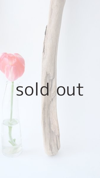 画像4: 小枝流木セット (4)