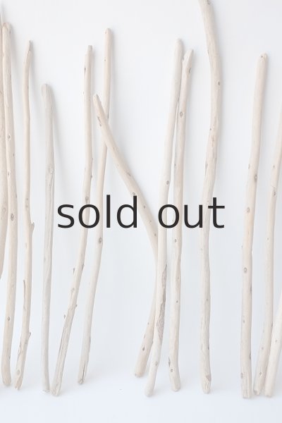 画像3: 棒流木セット (3)