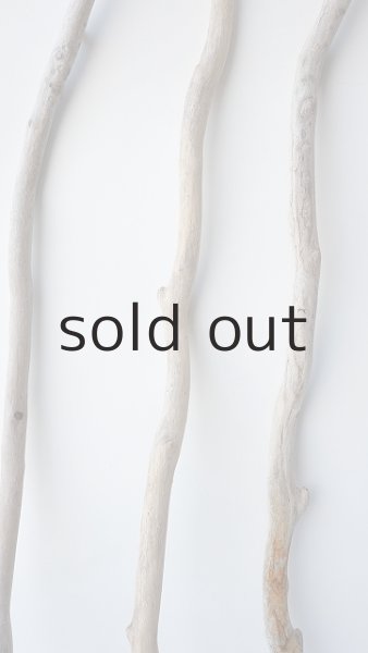 画像3: 小枝流木セット (3)