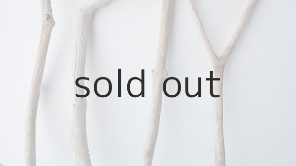 画像3: 小枝流木セット (3)