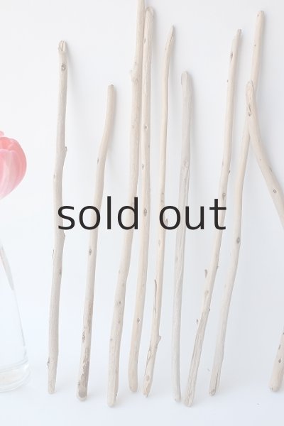 画像2: 棒流木セット (2)