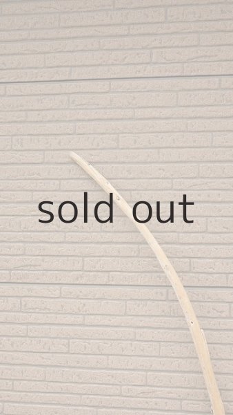 画像5: 棒流木 (5)