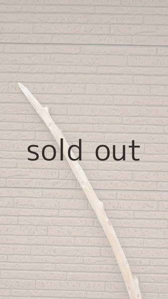 画像4: 棒流木 (4)