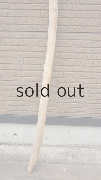 画像2: 棒流木 (2)