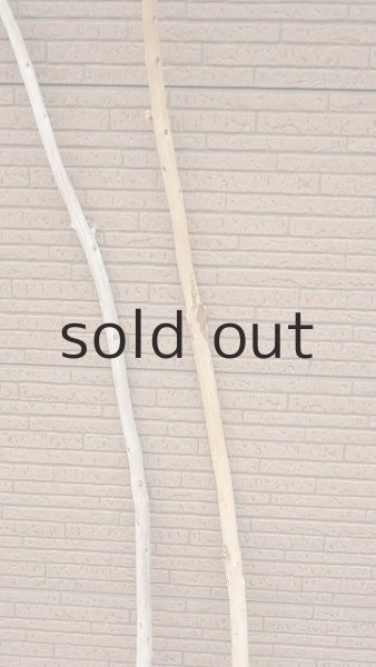 画像3: 棒流木セット・長尺 (3)