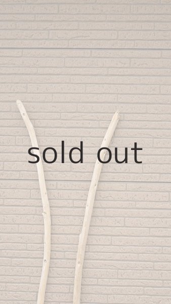 画像4: 棒流木セット (4)