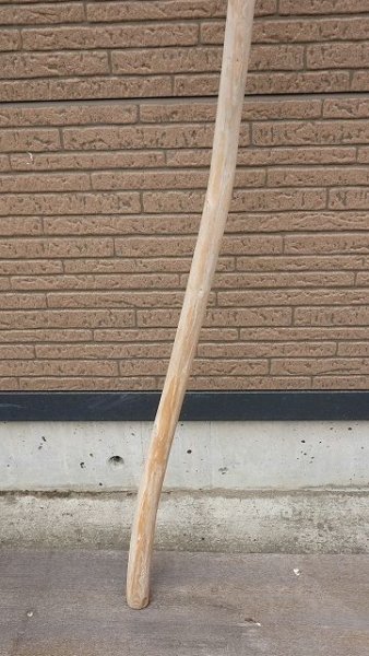 画像2: 棒流木・長尺 (2)