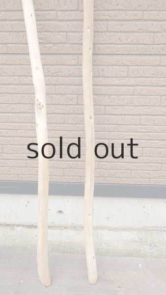 画像2: 棒流木セット (2)