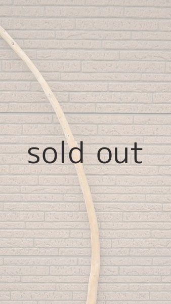 画像4: 棒流木 (4)