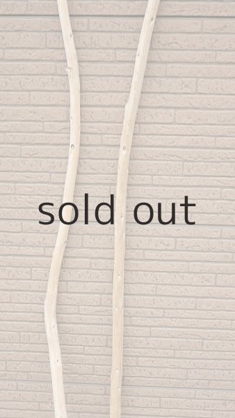 画像3: 棒流木セット (3)