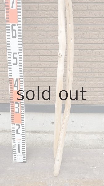 画像5: 棒流木セット (5)