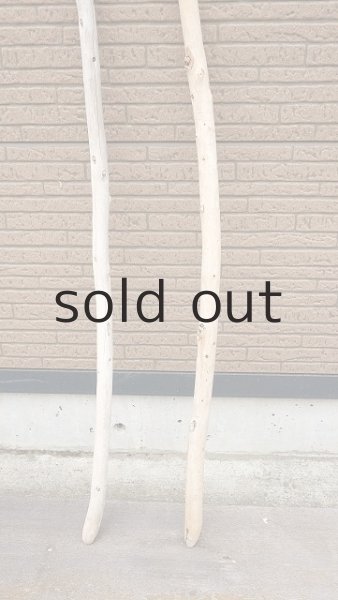 画像2: 棒流木セット・長尺 (2)