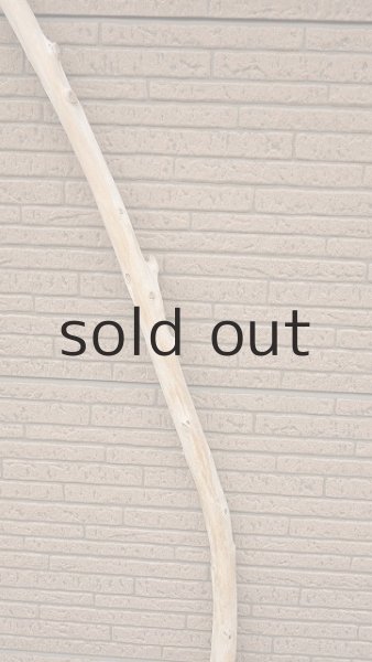 画像3: 棒流木 (3)