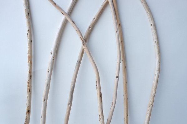 画像3: 棒流木セット (3)