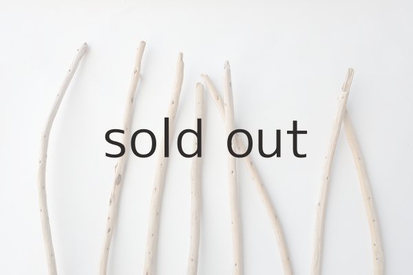 画像4: 棒流木セット (4)