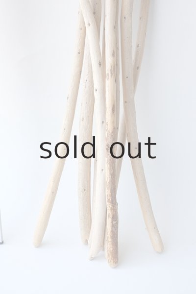 画像7: 棒流木セット (7)