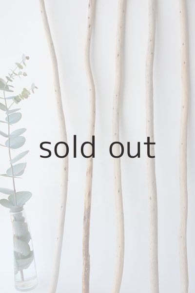 画像5: 棒流木セット (5)