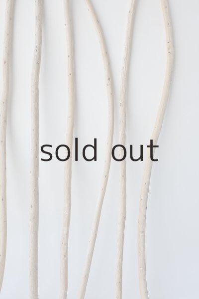 画像6: 棒流木セット (6)