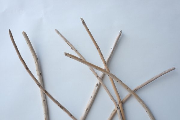 画像4: 棒流木セット (4)