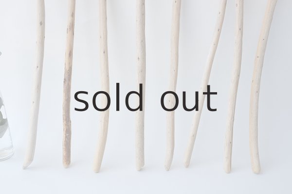 画像2: 棒流木セット (2)