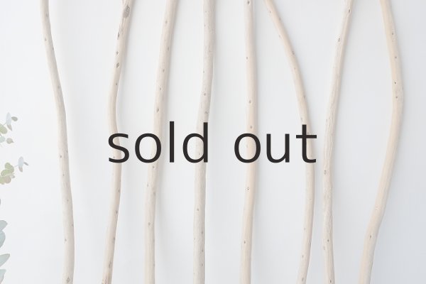 画像3: 棒流木セット (3)