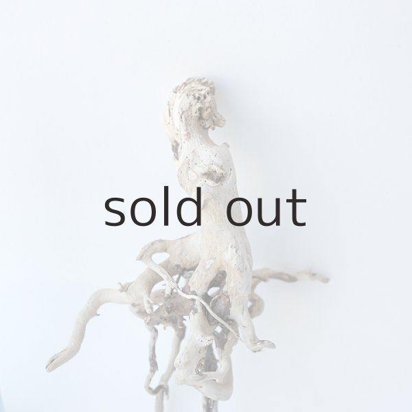 画像3: ミニ流木根 (3)