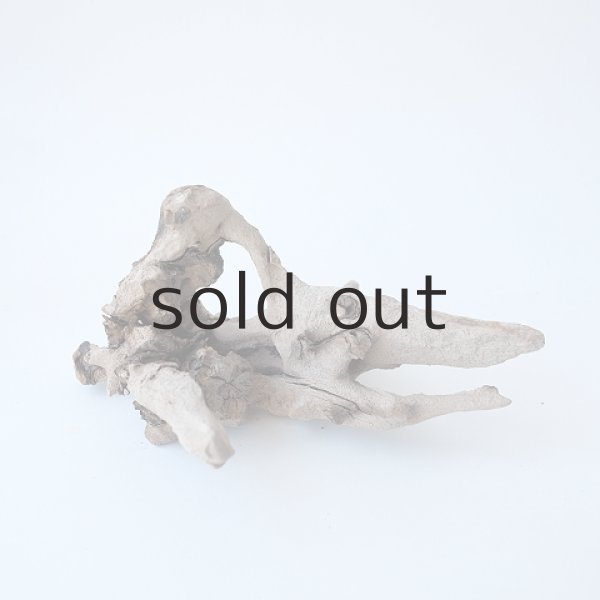 画像3: ミニ流木根 (3)