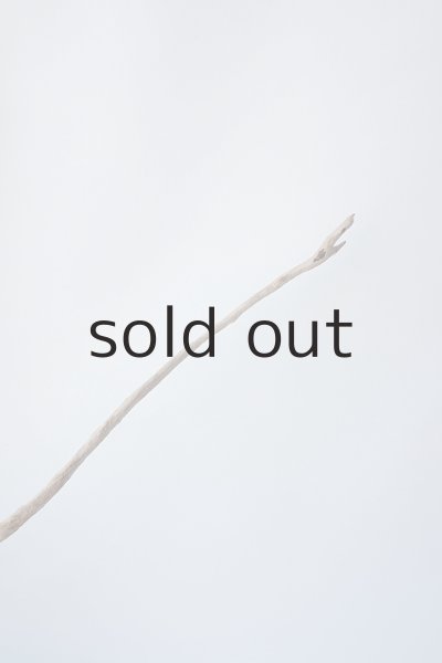 画像5: 流木根 (5)