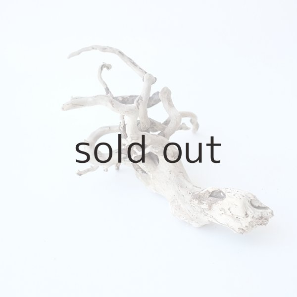 画像4: ミニ流木根 (4)