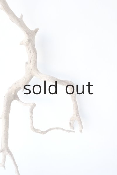 画像3: 流木根 (3)