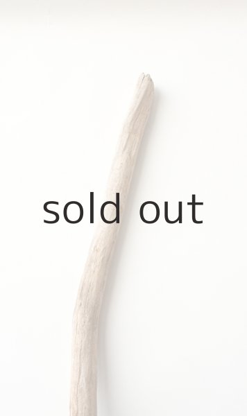 画像4: 枝流木 (4)