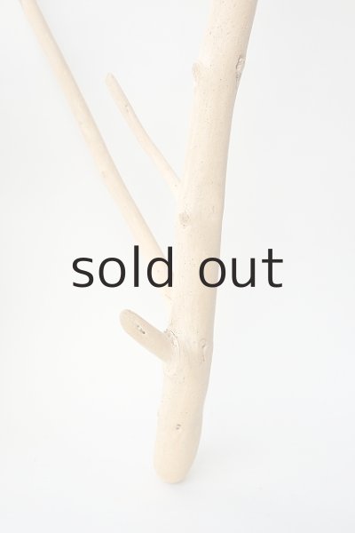 画像2: 枝流木 (2)