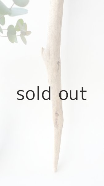 画像2: 枝流木 (2)