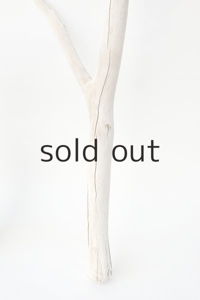 画像2: 枝流木 (2)