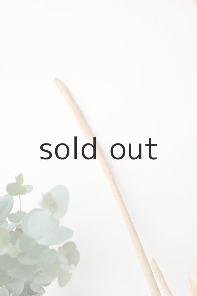 画像4: 枝流木 (4)