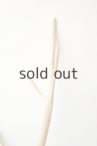 画像3: 枝流木 (3)