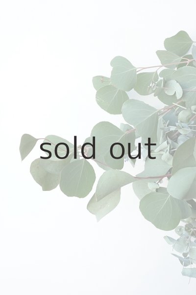 画像2: Dry plants for decor ユーカリ2種シンプルスワッグ (2)