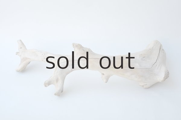 画像5: 流木根 (5)