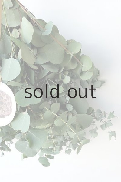 画像5: Dry plants for decor ユーカリ2種シンプルスワッグ (5)