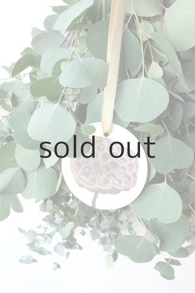 画像4: Dry plants for decor ユーカリ2種シンプルスワッグ (4)