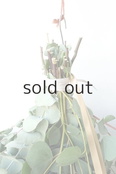 画像2: Dry plants for decor ユーカリ2種シンプルスワッグ (2)